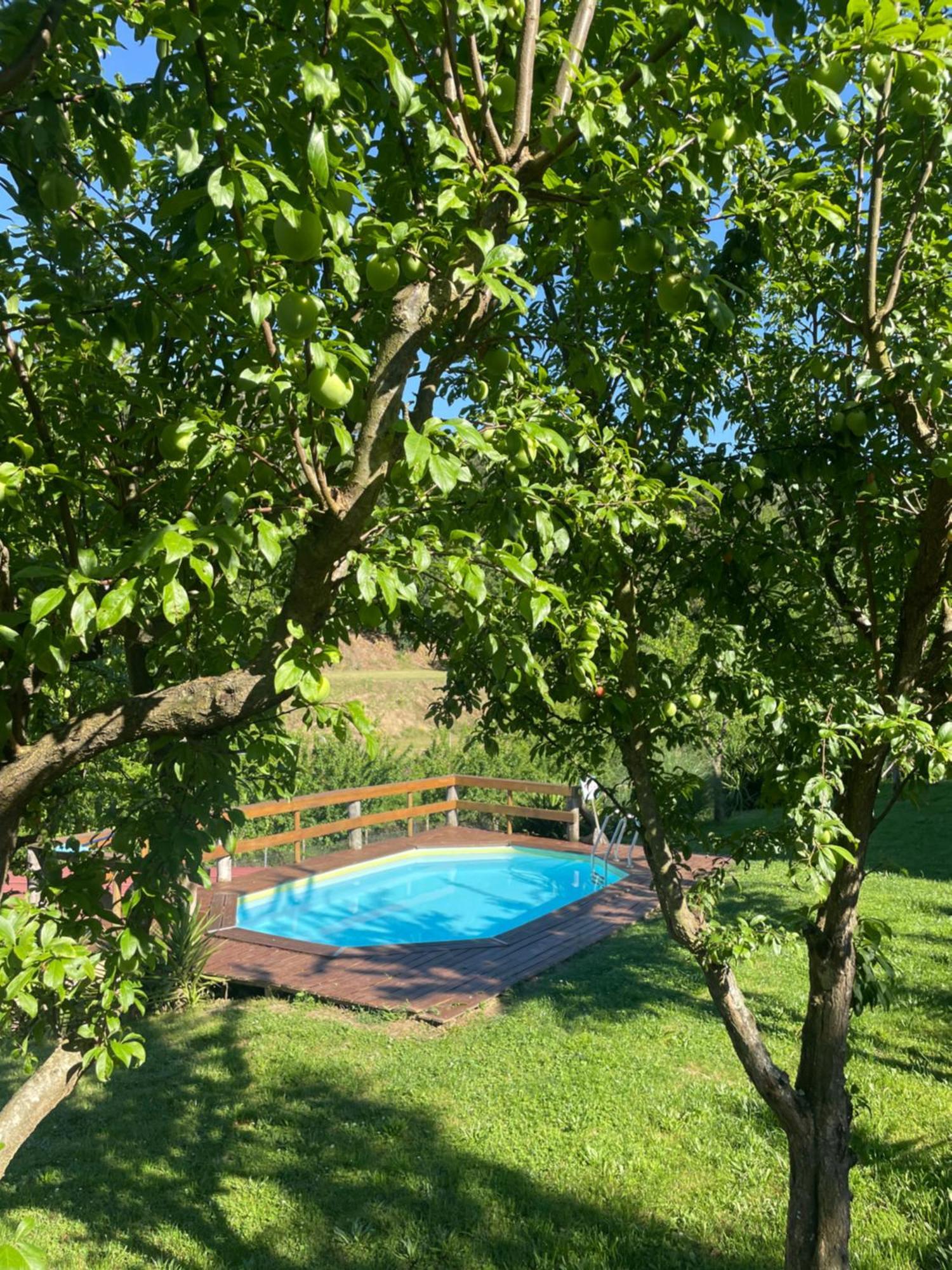 Villa Casinha A Porta Arouca Exterior foto